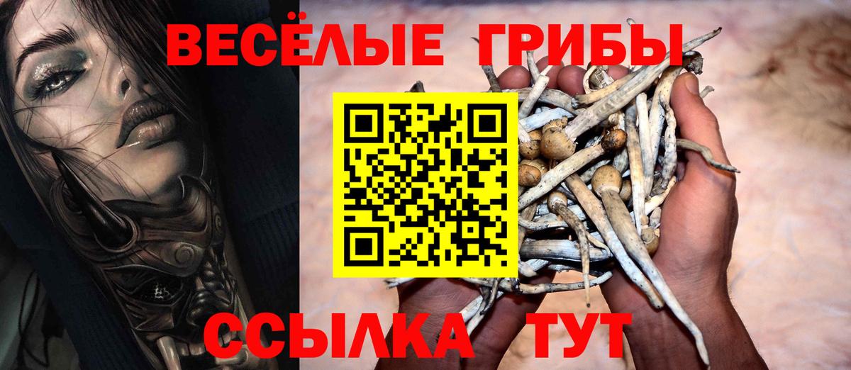 Псилоцибиновые грибы GOLDEN TEACHER Тосно