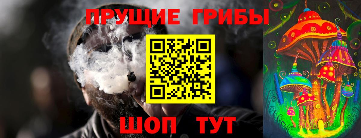 Псилоцибиновые грибы прущие грибы  Вход с VPN  Псилоцибиновые грибы MAGIC MUSHROOMS  Тосно 